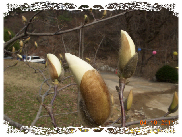충북음악 이미지