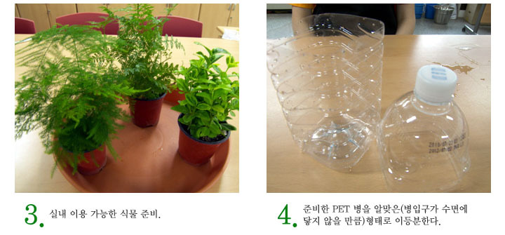 녹색인테리어 이미지