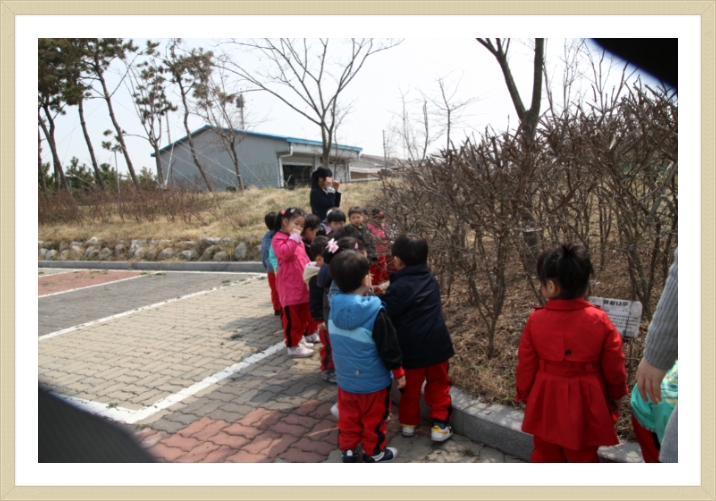 해돋이유치원 이미지