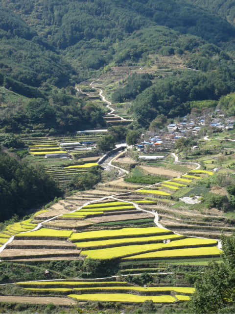 논밭 이미지