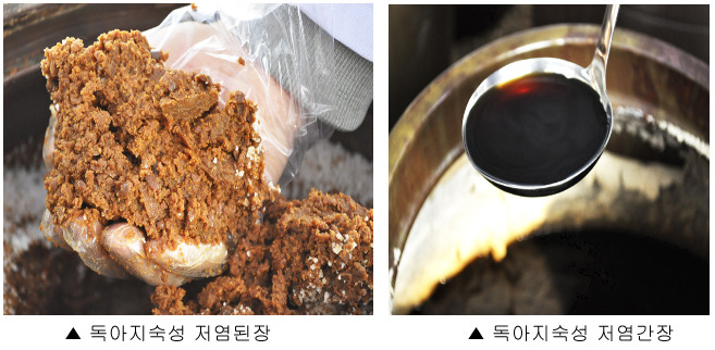 독아지 이미지