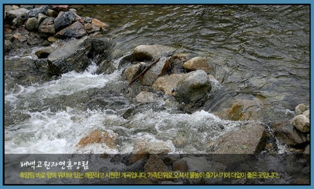 태백고원자연휴양림 이미지