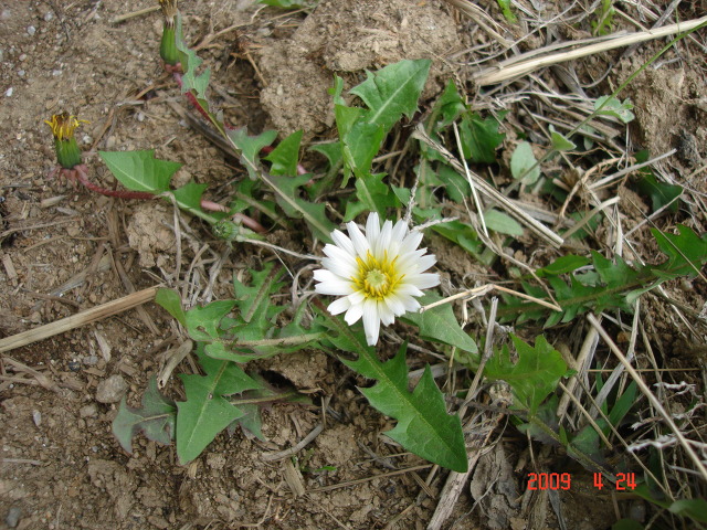 덕산방 이미지
