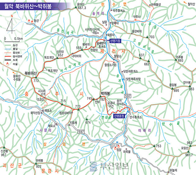 암릉 및 노송 이미지