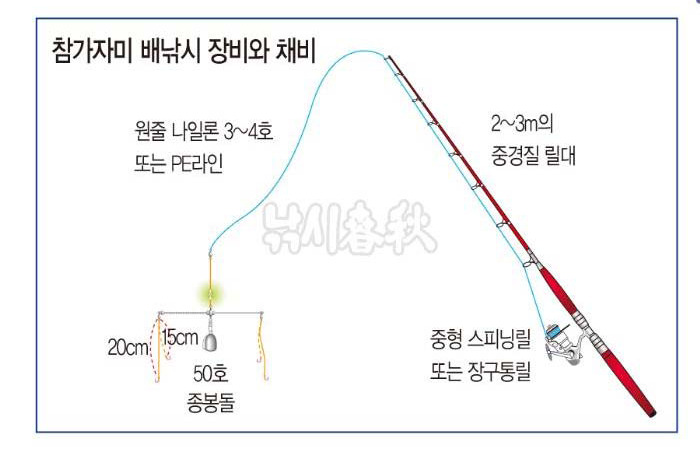 동해참가자미횟집 이미지