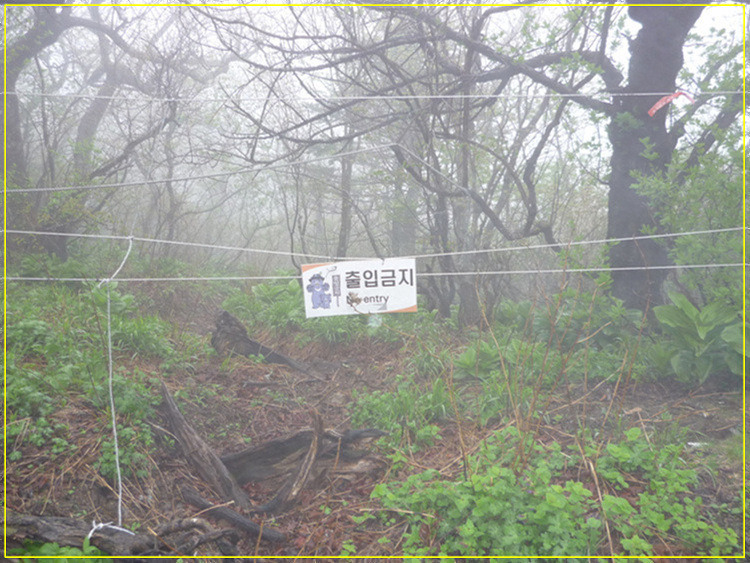 샘터식당 이미지