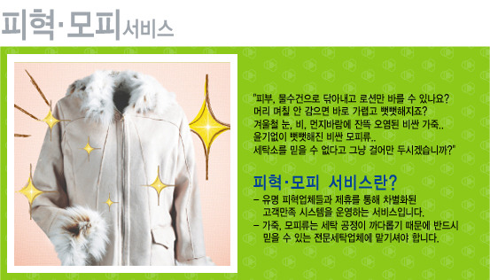 월드세탁 이미지