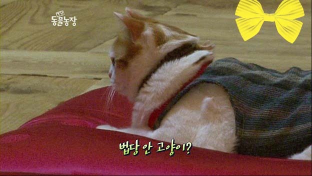 상귀농장 이미지
