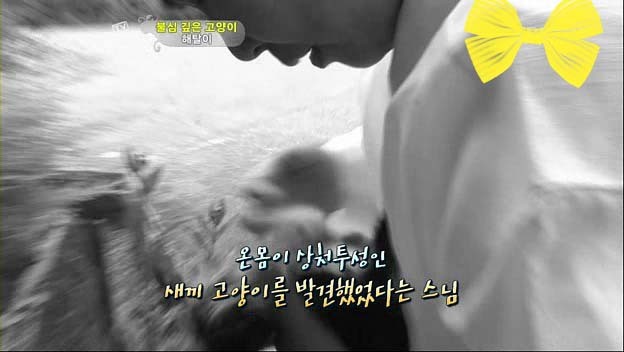 상귀농장 이미지