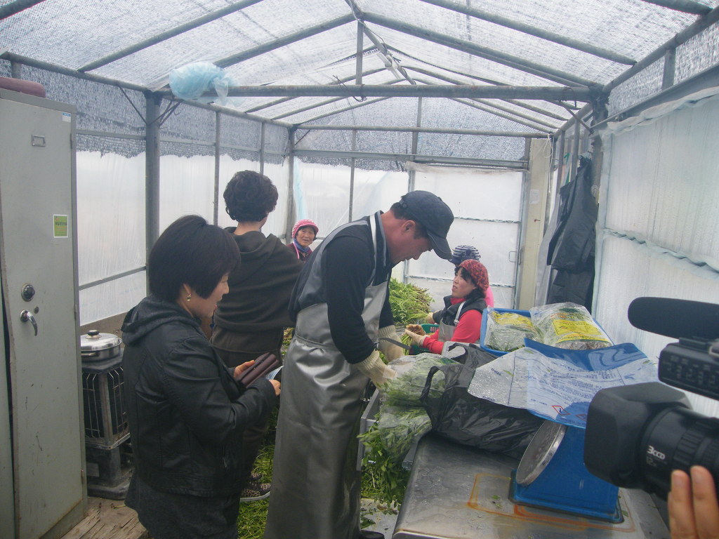치산미나리 이미지