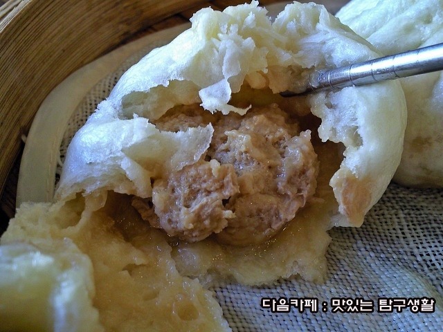 천진포자 이미지