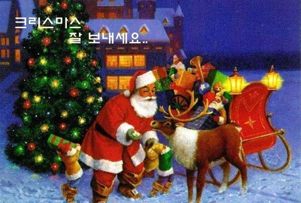 들꽃다육식물 이미지