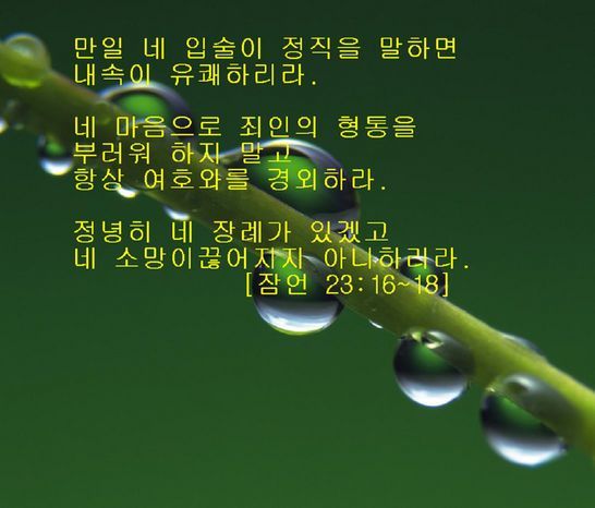 둘자네 이미지