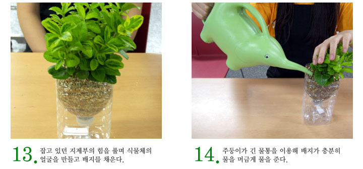 녹색인테리어 이미지