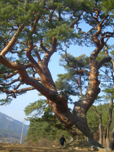 삼송마을 이미지