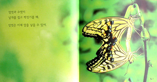 물친구 이미지