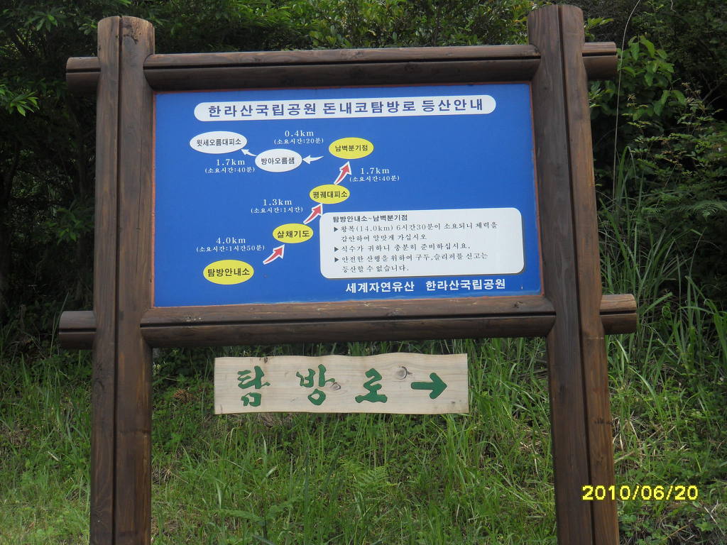 한라산똥돼지 이미지