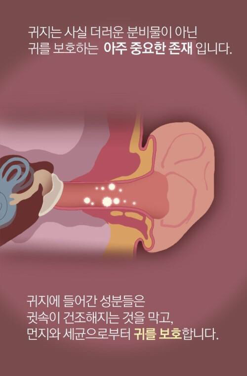 귀지더럽 | 인스티즈