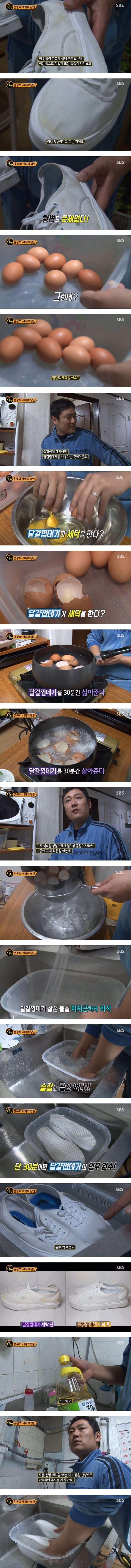 운동화 세탁의 달인 | 인스티즈