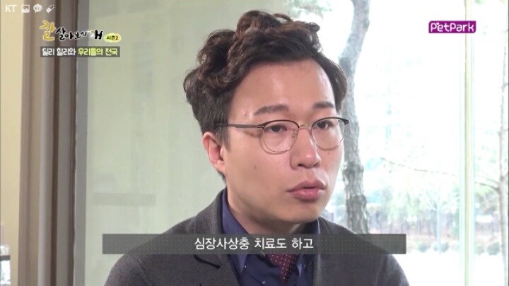 사람에 대한 트라우마가 있는 강아지 딜리 | 인스티즈