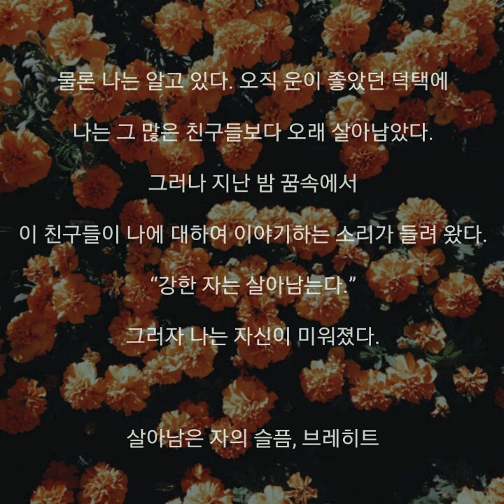 당신은 하늘 우러러 한점 부끄럼 없는 사람이었는가? | 인스티즈