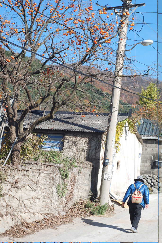 상신사 이미지