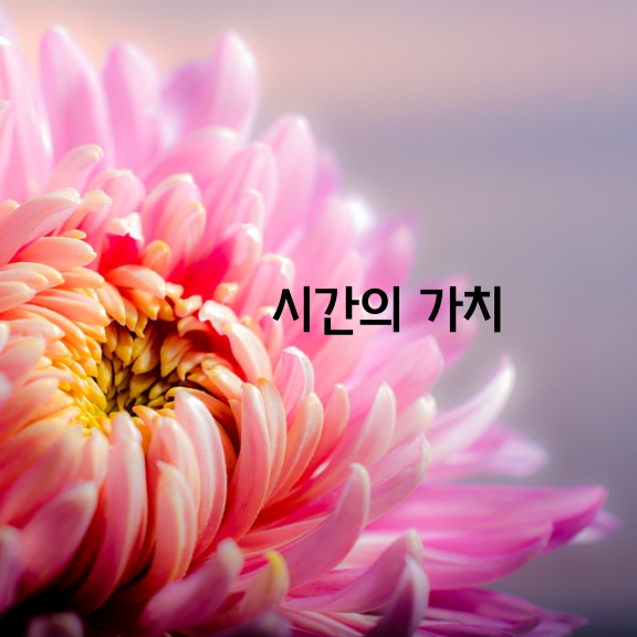 시간의가치 이미지