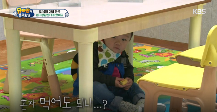 대박이의 아련아련 눈빛공격 (대박이의 성격은? 천성 vs 후천적 교육) | 인스티즈