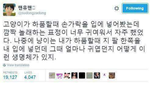 ???:하품할때 이러면 되냐냥? | 인스티즈