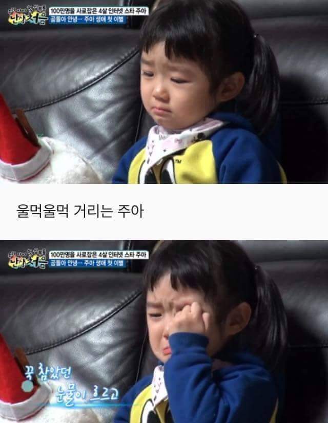 4살 여자아이가 처음 경험해본 이별 | 인스티즈
