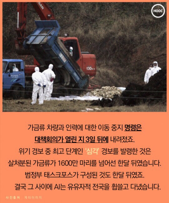 계란 하나도 마음놓고 못사먹는 나라 | 인스티즈