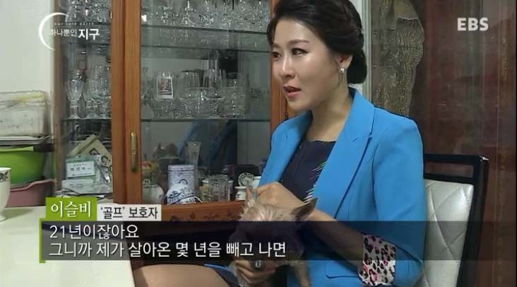  당신은 반려동물과 이별할 준비가 되었나요? | 인스티즈