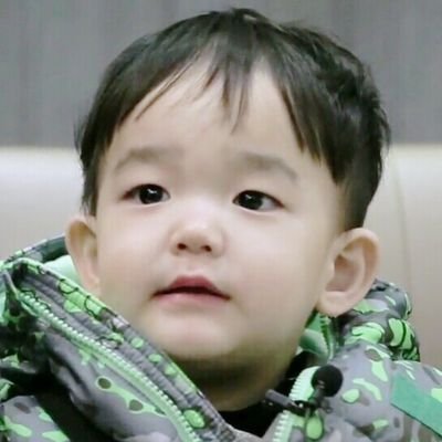묘하게 닮은 다을이과 남자 연예인.jpg +추가 | 인스티즈