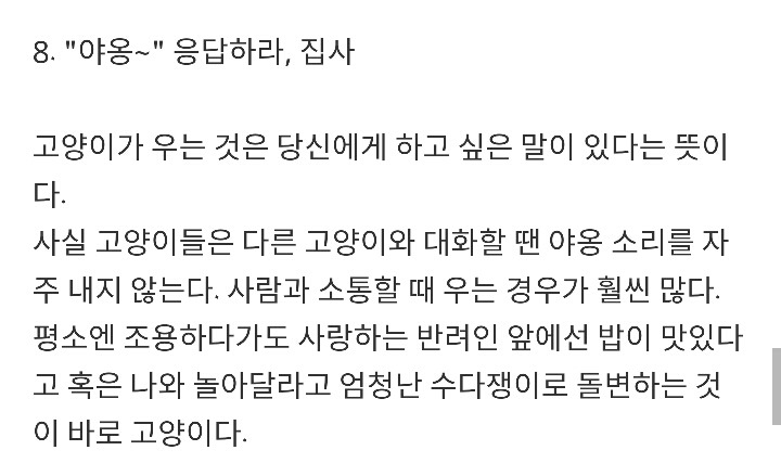 반려묘가 당신을 사랑하고 있다는 9가지 신호 | 인스티즈