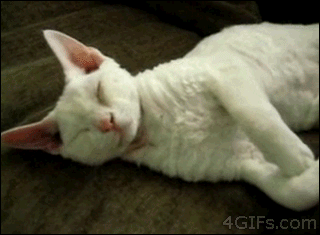 껴안고 난리남﻿﻿.gif | 인스티즈