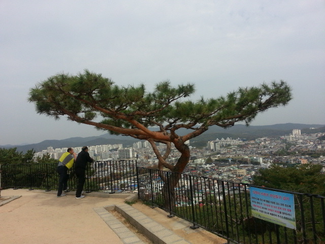 행복사냥 이미지