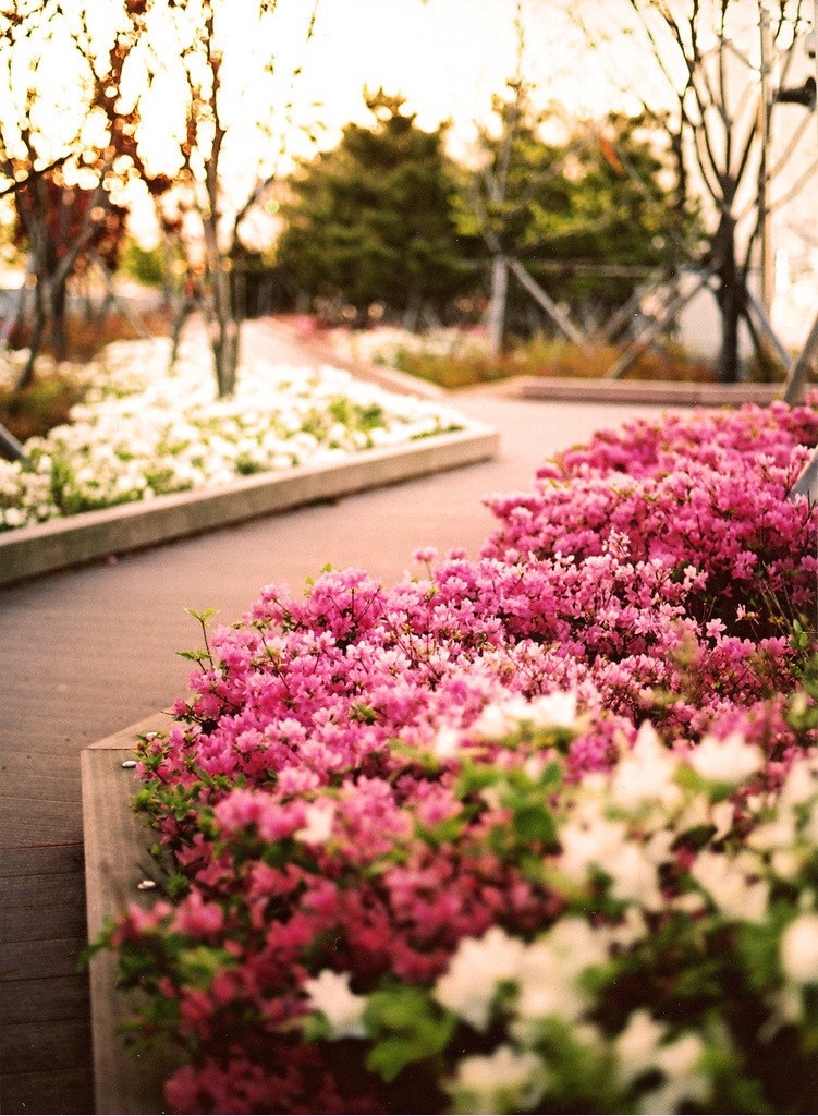  걷고 싶은 거리 고르기 | 인스티즈