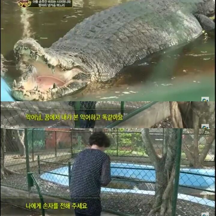[다문화고부열전] 아들 손주를 강요하는 시어머니 | 인스티즈