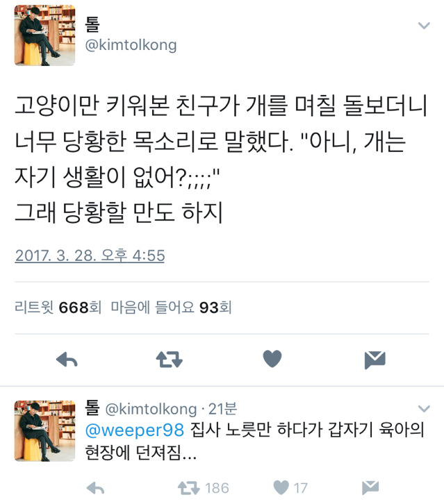 개를 접해본 고양이 집사님의 소감.twt | 인스티즈