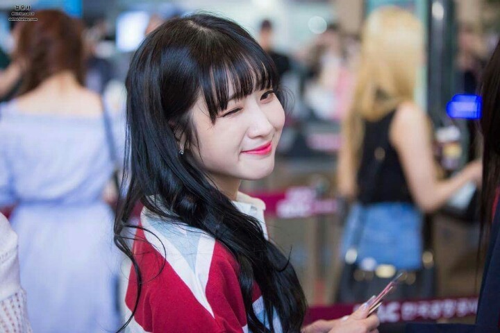 [러블리즈] 고양이가 다시 건깅해져서 유지애 | 인스티즈