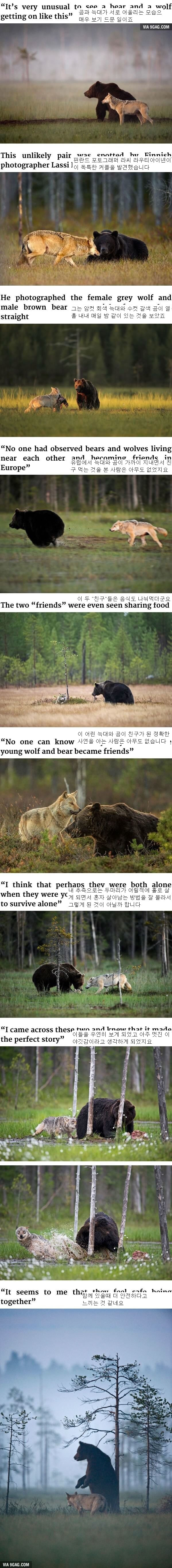 동물들의 우정 ㅎㄷㄷ | 인스티즈