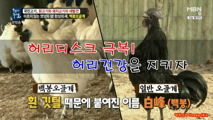 백봉인 이미지