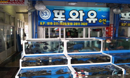 또와유 이미지