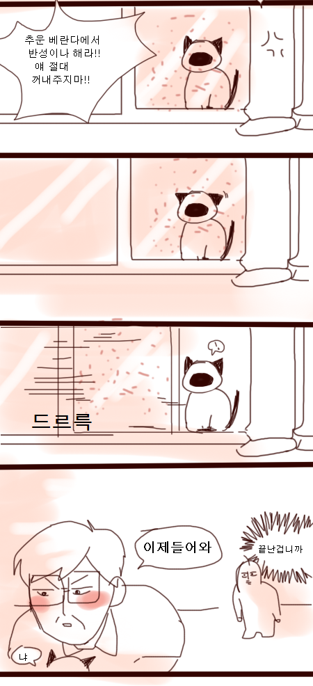 고양이키우는 츤데레 아빠 만화 | 인스티즈