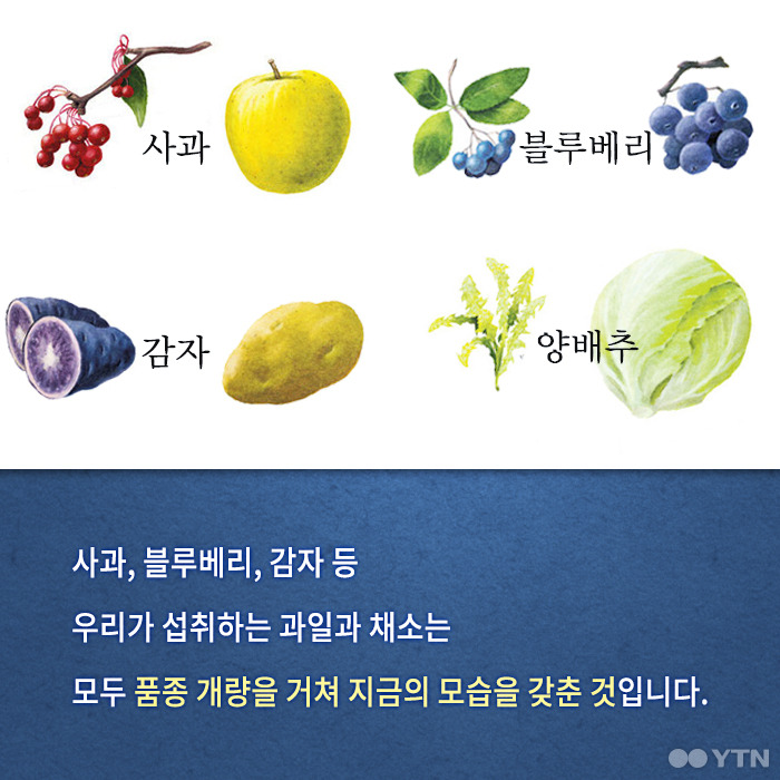 당신이 모르는 수박의 숨겨진 과거 | 인스티즈