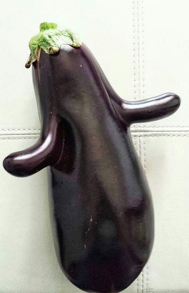 신기야채 이미지