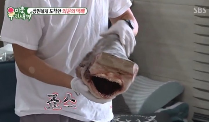 팬한테 상어머리 선물받은 이상민 | 인스티즈