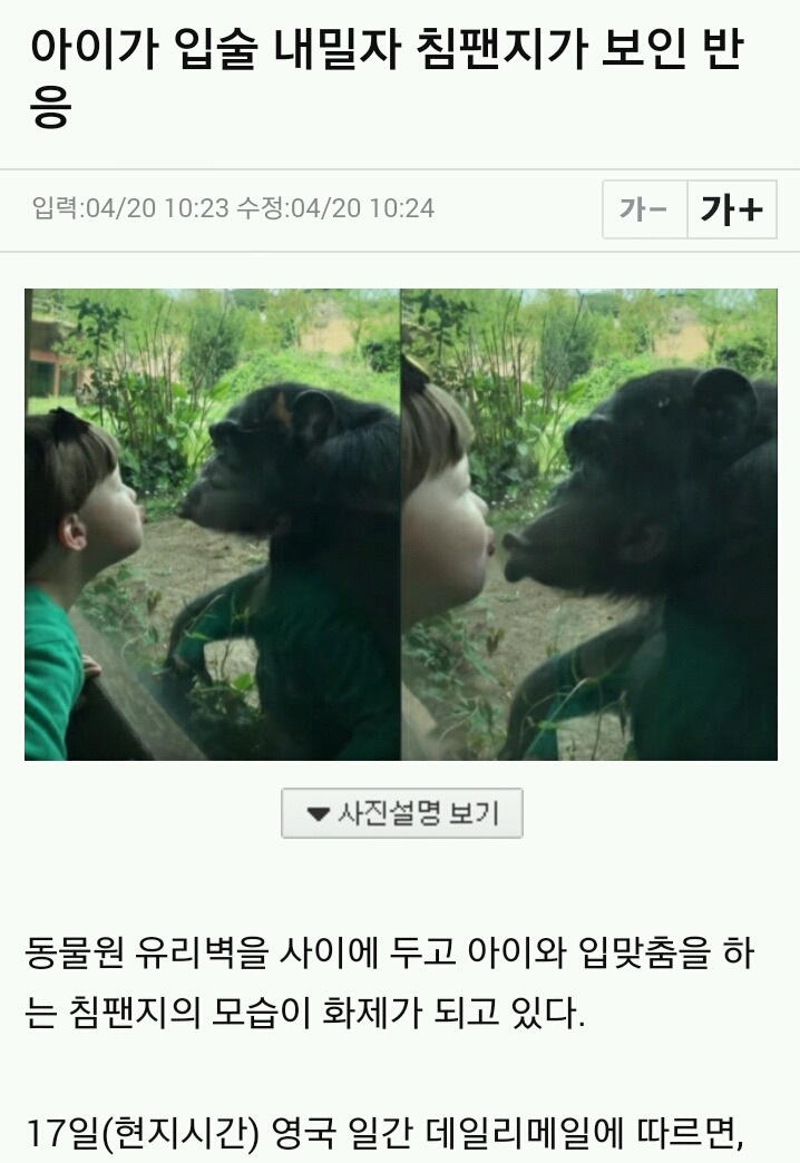 아이가 입술 내밀자 침팬지가 보인 반응 | 인스티즈