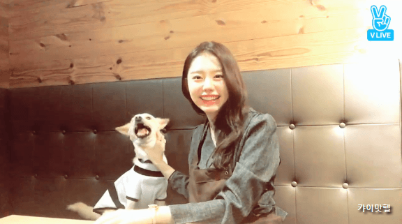 유기견을 입양한 김소혜 | 인스티즈