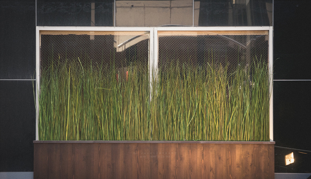 스냅사진 위주의 유치진지한 여행기 - 오사카&교토 (1) | 인스티즈